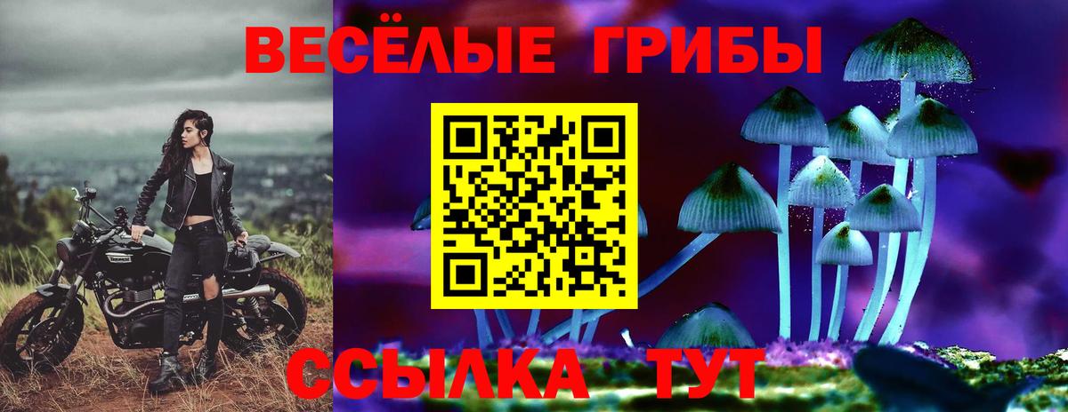 Ачхой-Мартан  Псилоцибиновые грибы Cubensis  Вход с VPN 